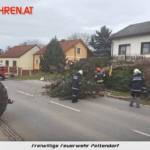 FF Pettendorf: Baum droht auf Wohnhaus zu stürzen 7