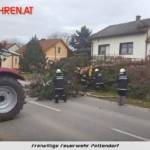 FF Pettendorf: Baum droht auf Wohnhaus zu stürzen 6