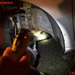 FF Behamberg: Katze in Not