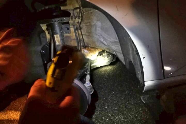 FF Behamberg: Katze in Not