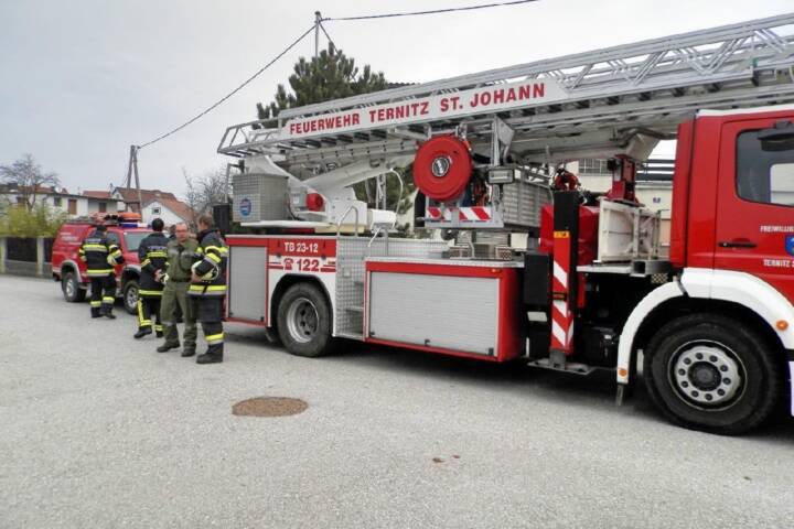 Bezirk Neunkirchen: Person in Notlage