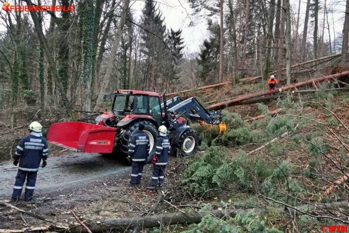 BFVDL A08: Orkanartige Böen sorgen für Unwettereinsätze