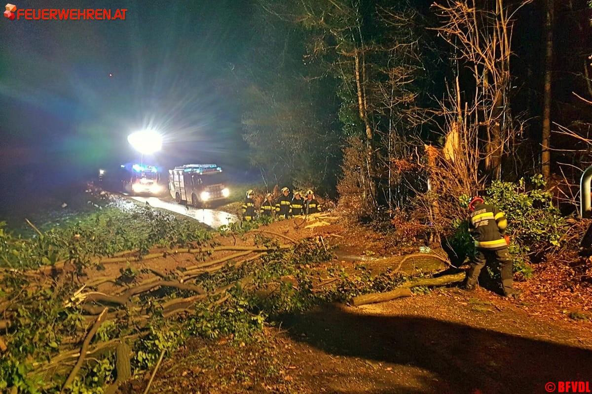 BFVDL A08: Update zum Katastropheneinsatz