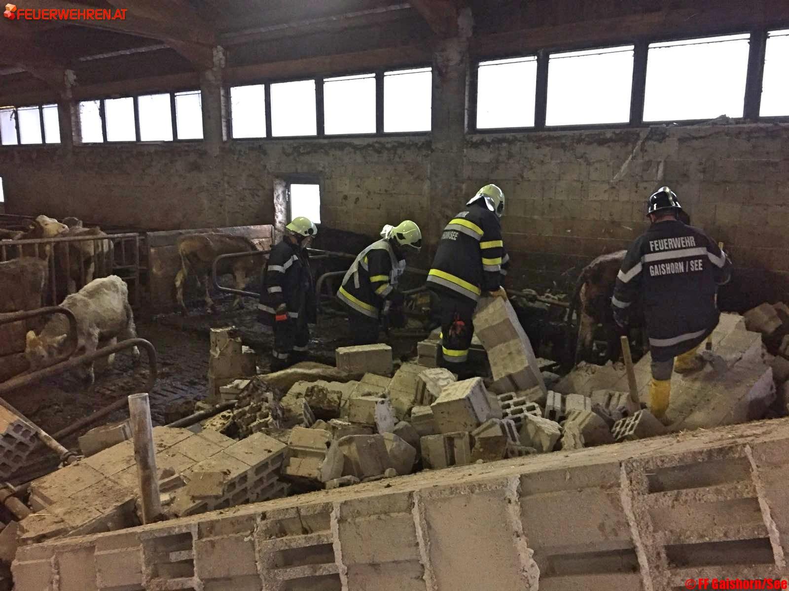 BFV Liezen A06: Tierrettung in Au bei Gaishorn