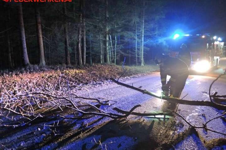 BFKDO Gmünd: Sturmböe lässt Baum auf Straße stürzen