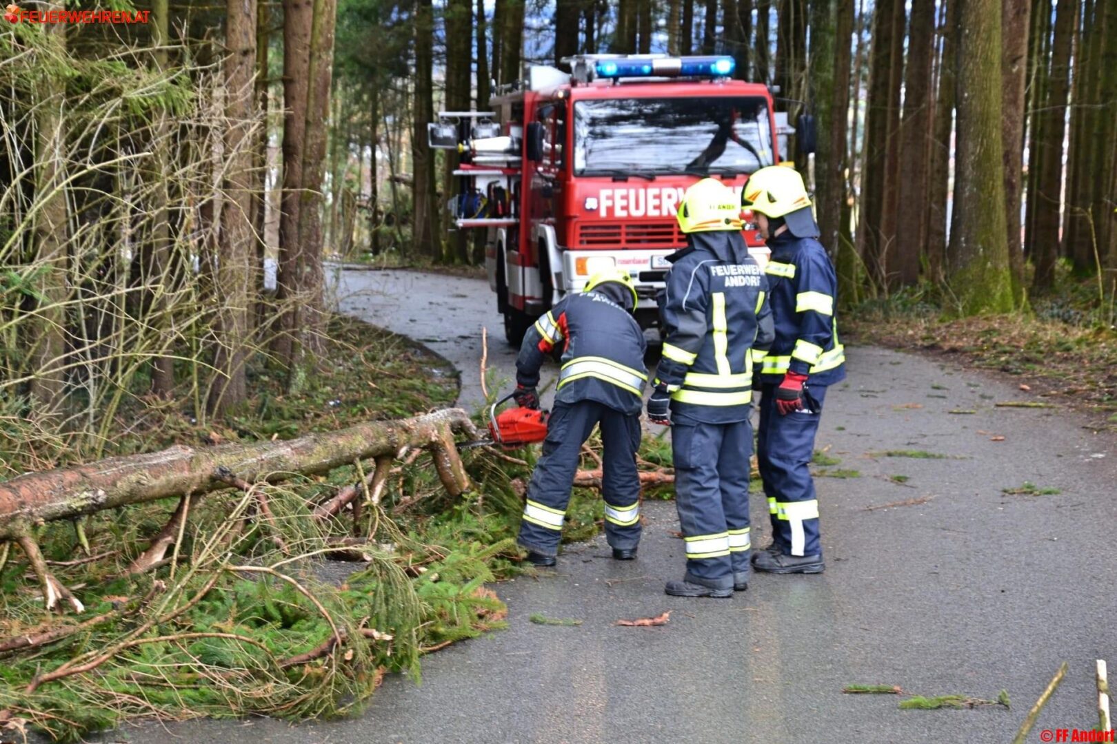 FF Andorf: Sturmfront knickt mehrere Bäume