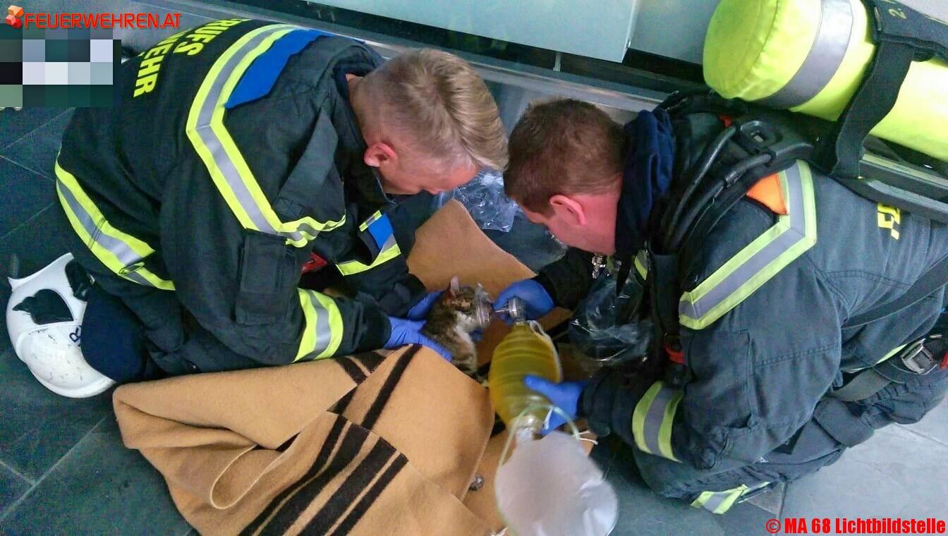 BF Wien: Wohnungsbrand in Wien Wieden