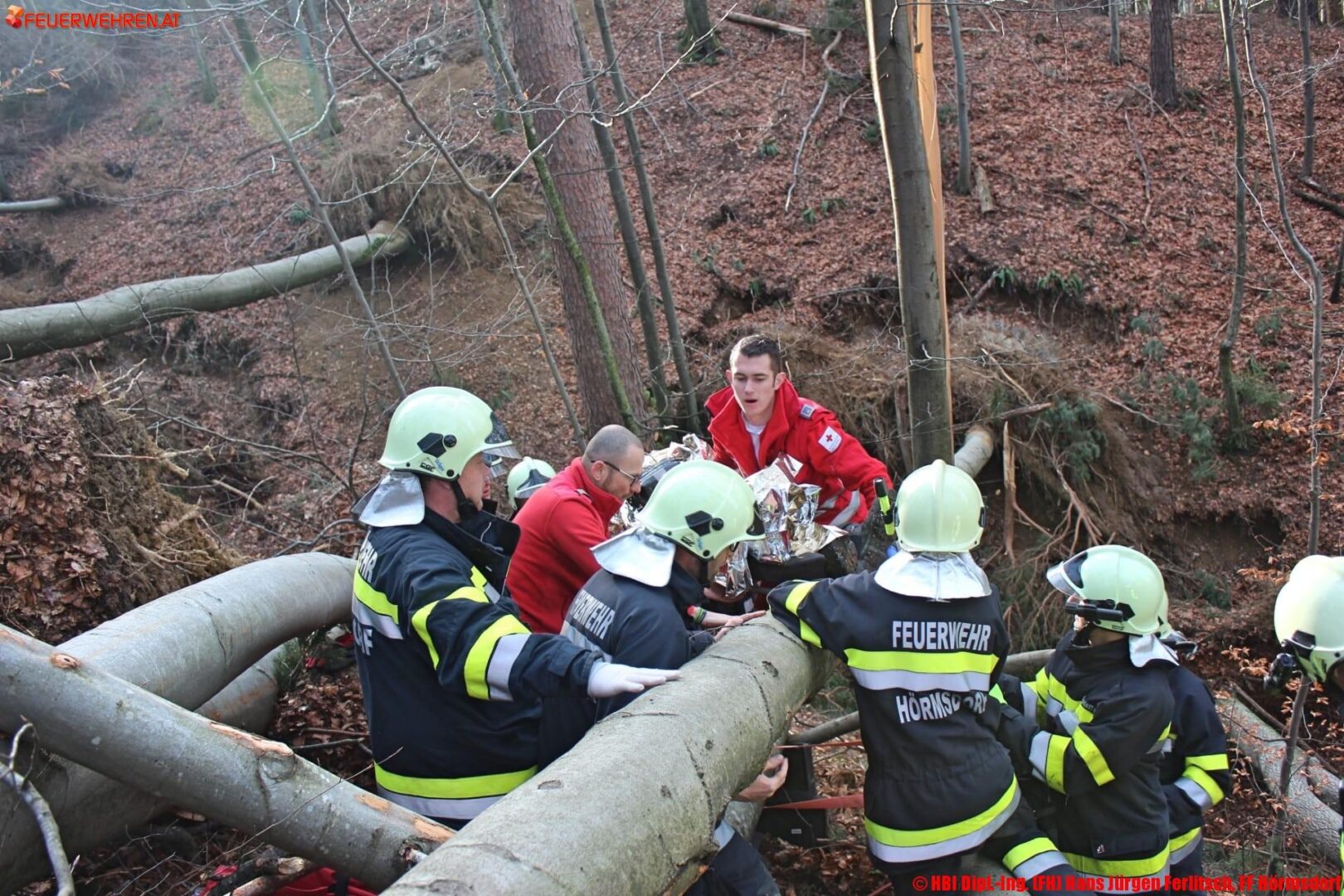 BFVDL A2: Forstunfall in Hörmsdorf