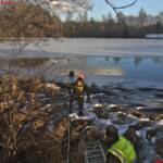 HFW Villach: Hund hatte Hundeglück