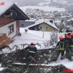 BFV Liezen / Schlüßlmayr