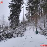 BFV Liezen / Schlüßlmayr