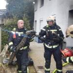 BF Wien: Würgeschlange und Kaninchen bei Kellerbrand gerettet
