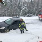 Feuerwehren des BFVDL
