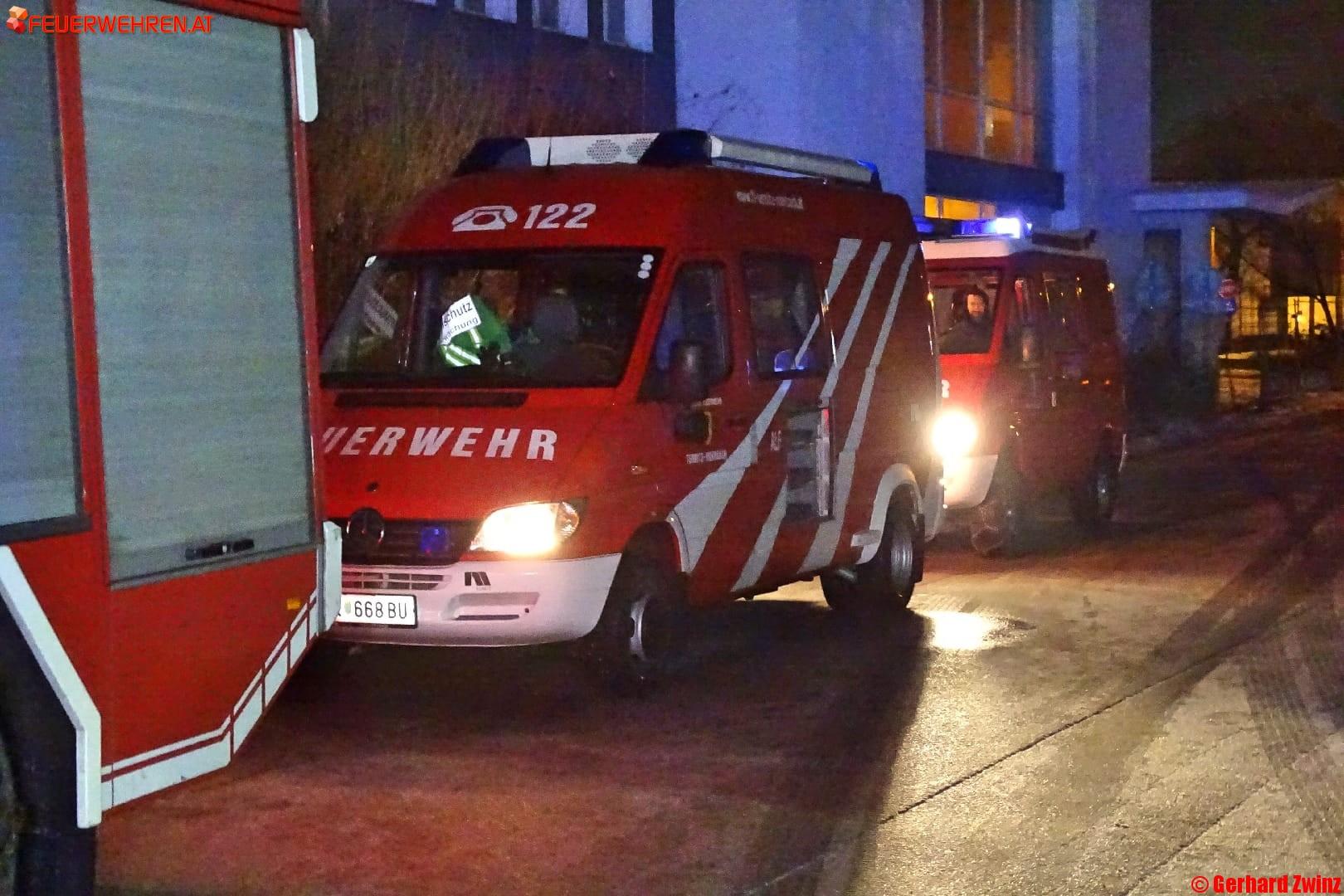 Bezirk Neunkirchen: Feuer in Holzbetrieb