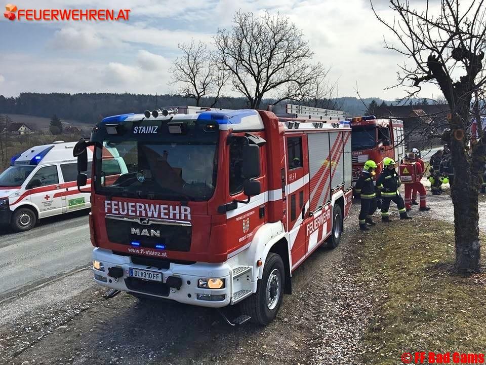 BFVDL: Tierrettung und Brandeinsatz in Bad Gams