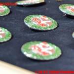 LM d.V. Stefan Riemelmoser / BFVLE