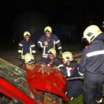 Bezirk Neunkirchen: Pkw gegen Baum – zwei Verletzte