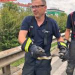 MA 68 Lichtbildstelle