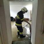 Feuerwehren des BFVDL