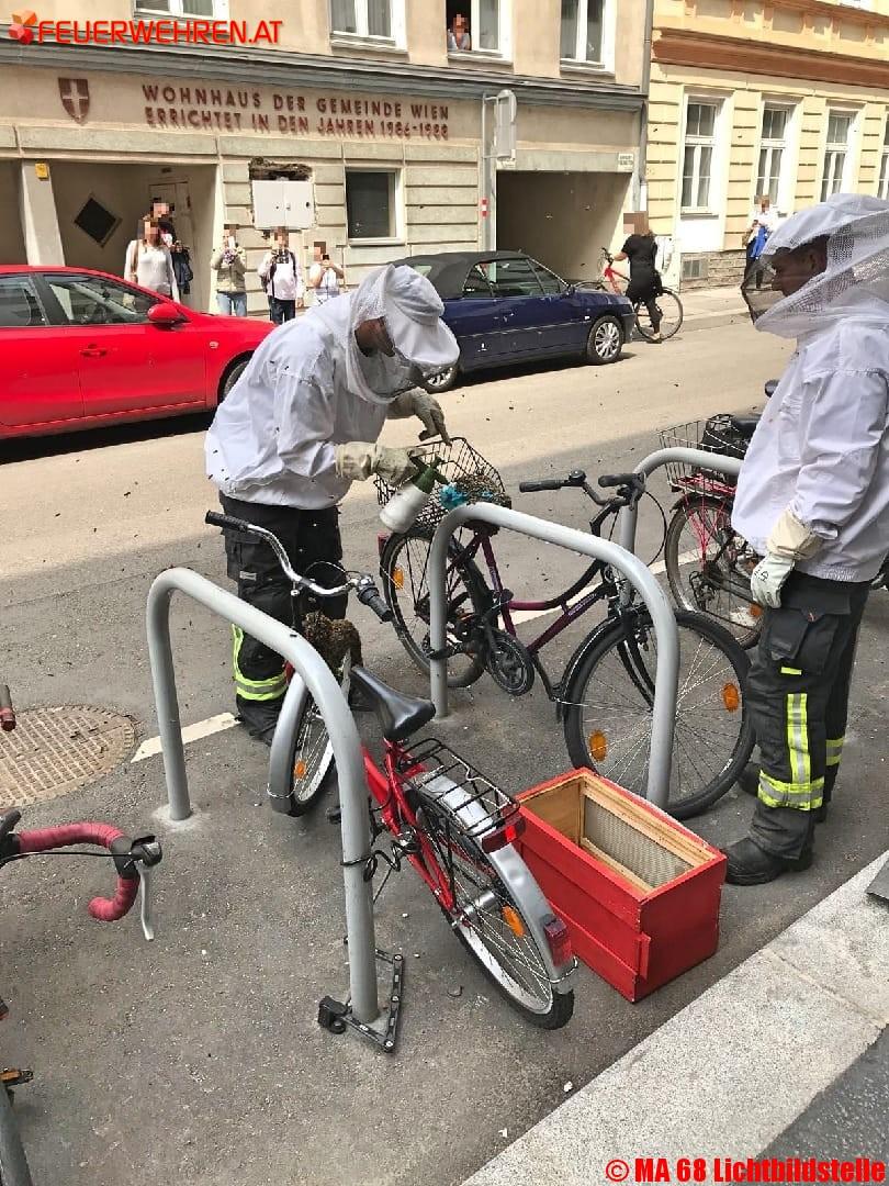 BF Wien: Bienenschwarm besetzt Fahrradabstellplatz