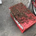 MA 68 Lichtbildstelle