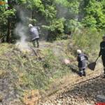 Presseteam FF-Hoheneich