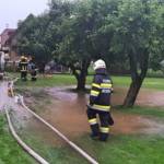Feuerwehren des BFVDL