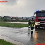 Feuerwehren des BFVDL
