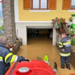 Feuerwehren des BFVDL