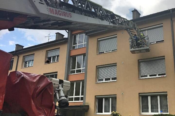 HFW Villach: Tierische Feuerwehreinsätze