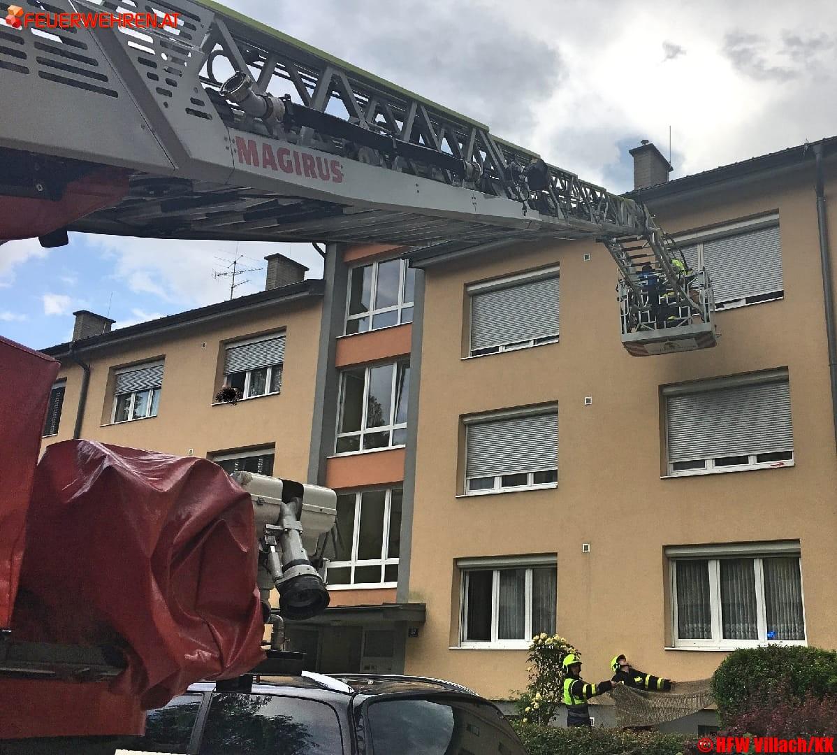 HFW Villach: Tierische Feuerwehreinsätze
