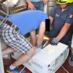 FF Andorf: Hand in Küchenmaschine