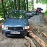 FF Freidorf