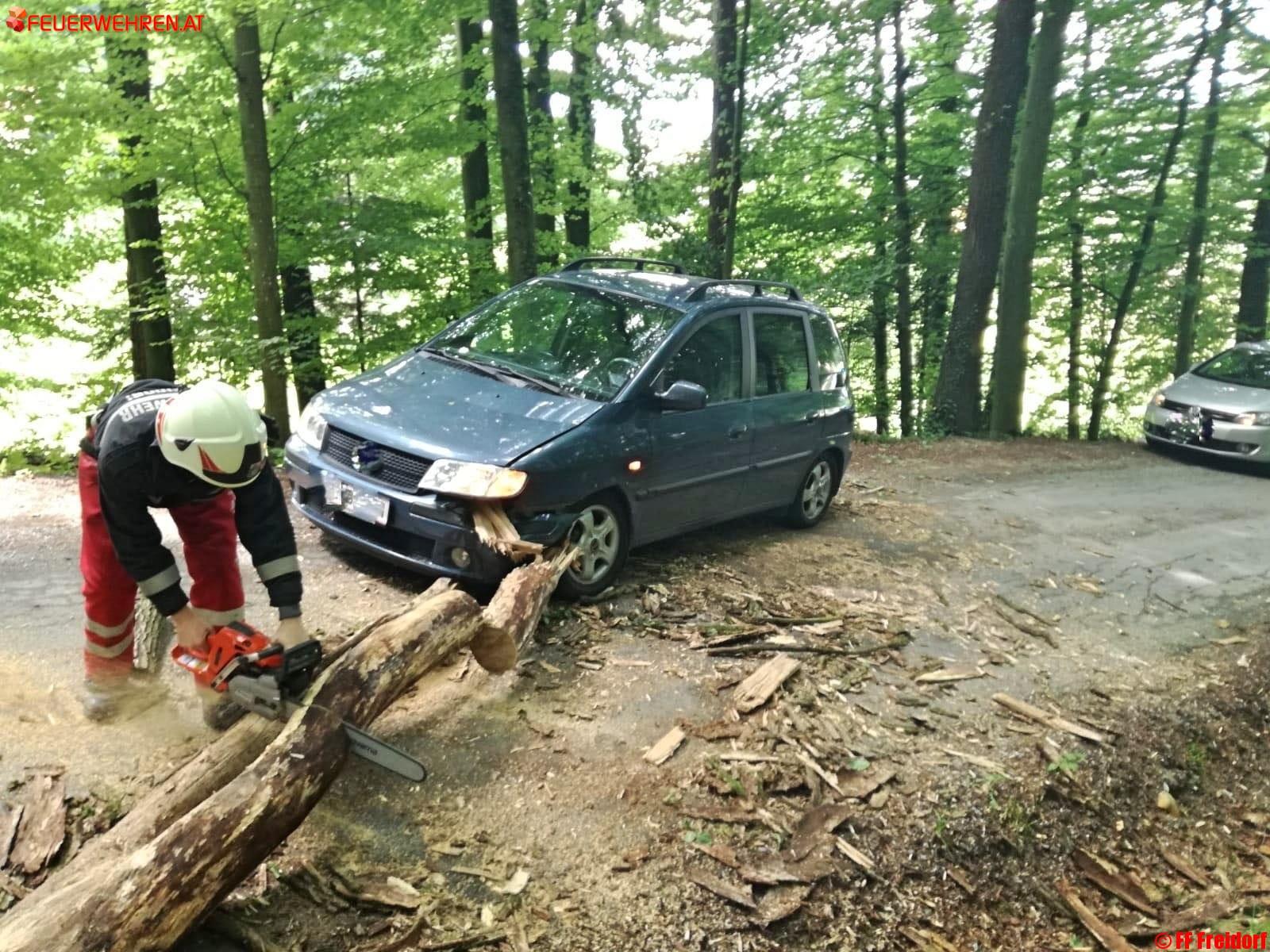 BFVDL: Verkehrsunfall in Freidorf/Frauental