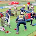 BFK-Krems / Firlinger