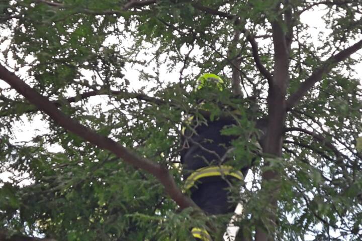 Einsatz im Kindergarten