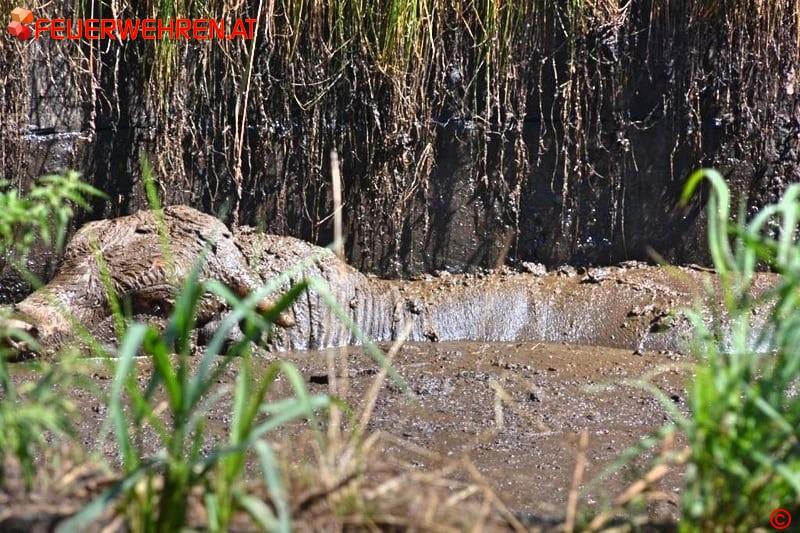 BFVDL A2: Tierrettung in Pölfing-Brunn