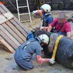 BFVDL A2: Tierrettung in Pölfing-Brunn 2