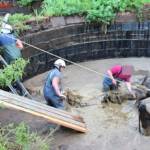 BFVDL A2: Tierrettung in Pölfing-Brunn 3
