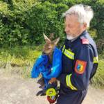 Junek/ FF Putzmannsdorf