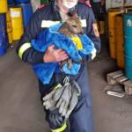 Junek/ FF Putzmannsdorf