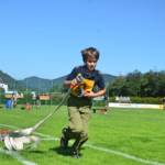 BFV Liezen / Hollinger