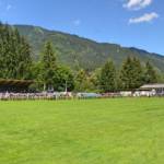 BFV Liezen / Hollinger