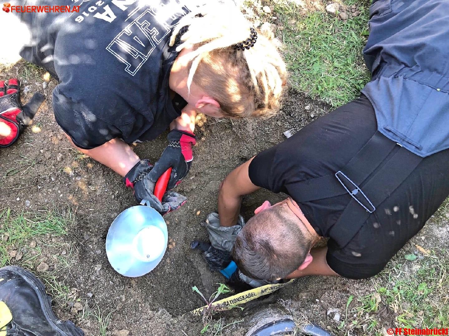 FF Steinabrückl: Tierrettung im Paradiesgartl