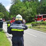Waldbrand in Bürg-Vöstenhof