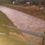 FF Pettendorf: Unwettereinsätze in Niederrußbach 8