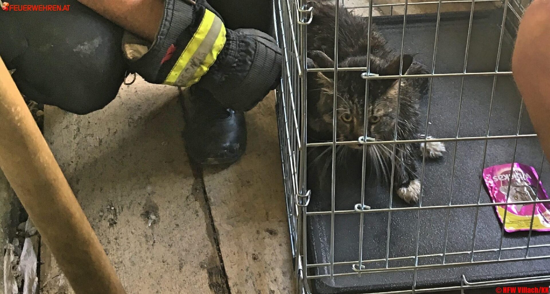 HFW Villach: Tierischer Feuerwehreinsatz