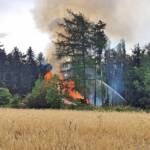 BFK Waidhofen a.d.Thaya: Waldbrand in Waldreichs bei Holzstoß