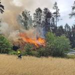 Waldbrand in Waldreichs bei Holzstoß