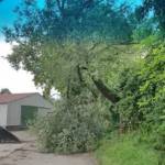 FF Pettendorf: Unwettereinsatz und Sturmschaden 3